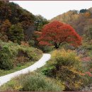 수산리-3 이미지