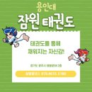 용인대잠원태권도 이미지