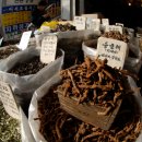 [의대 수의대 생명공학] 한국사 세특 주제 - 조선시대 의학서, 전염병의 과거와 현대 대응 비교, 전통...