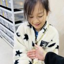 파충류샵아토리