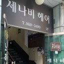 희빈 | 염색 맛집 “세나비” 꼼꼼한 희빈 디자이너님의 매트브라운 염색 후기(구서역 미용실 추천)