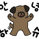 퍼피글랫 이미지