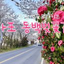 마산합포구 ⓘ-6 이미지