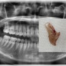 용두치과의원 이미지