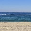 푸른바다 이미지