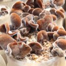 자연인한의원 이미지