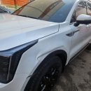 태양모터스 이미지