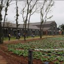 알로앤루 | 제로투세븐 상하농원체험단 4기 (알로앤루) 후기