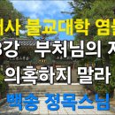 범어사 불교대학 염불선 제 58강 : 부처님의 지혜를 의혹하지 말라 이미지