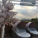 메르블루 이미지