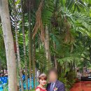 CP커플국제결혼 이미지