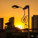 황금빛 실루엣의 변주곡 이미지