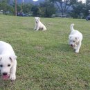 지방도925호선 이미지