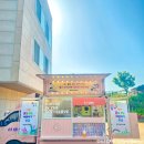 해든컴퍼니 티스토리