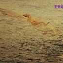 진렌트카강릉영업소 네이버블로그