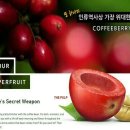 커피베리 이미지