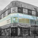 통일애견 네이버블로그