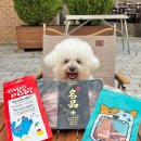 개님의상점 | [개님의상점] 애견동반캠핑을 위한 캠핑고기 추천 '개님캠핑세트'