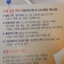 이륜차 단속(촉매)와 정기검사 관련 정보 이미지