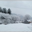 서후보건진료소 이미지