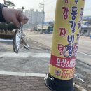 석문감자탕 네이버블로그