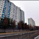 강서구-48 이미지