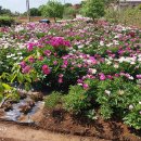 한길농장 이미지