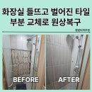 구리(퇴계원)B/S 화장실 | 화장실 들뜬 타일 교체 벌어진 타일 부분시공업체...하남 미사 구리 남양주 다산 별내 퇴계원 의정부...