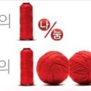 태권 슐레 이미지