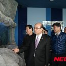 대전아쿠아리움 이미지