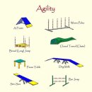 나는댕댕이다 이미지