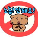 설봉복싱 이미지