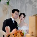 보라 | 베뉴지 마리아칼라스홀 본식스냅 사진보라 후기