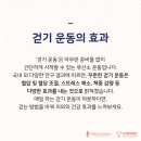 하이풀 스포츠 이미지