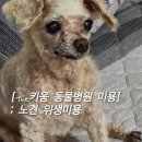 키움동물병원 이미지