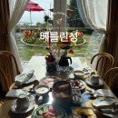 성은네과일 | 4월 5월 6월 남해여행 코스 베를린성 유럽풍 카페 조식 후기