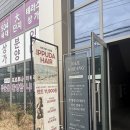 이쁘다 | 가성비 좋은 이쁘다헤어 톤다운 염색 후기