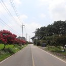 딱정벌레펜션 이미지