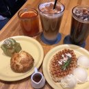 카페테디(CAFE Teddy) 이미지