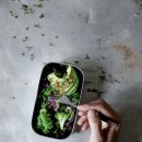 고달면사무소 이미지