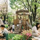 2026 서울어린이정원페스티벌 기간 및 5~6월 무료 장미축제 명소 TOP 3 후기