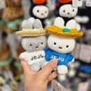 원바이오젠제주스토어 | 제주도 소품샵 제주공항 근처 귤귤스토어 도두점 기념품샵 미피 가격 굿즈 정리