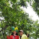 꼬꼬농장 이미지