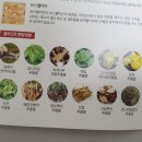 셀엠에스엠 | 근육통에 바르는 통증크림 닥터케이 한방 셀포인트로 손목통증 도움을 받고 있어요!