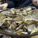 반포대로26길 41 | [교대] 삼척포구 서초본점 | 내돈내산 교대역 횟집 콜키지 프리보다 만족스러운 이모카세 맛집 (콜키지...