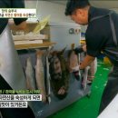 어부장 티스토리