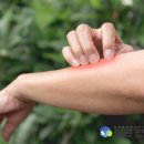 바른연합의원 이미지