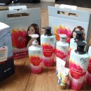 웰리치세탁 이미지