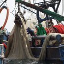 기선권현망수산업협동조합(멸치권현망수협) 이미지