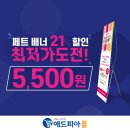 애드피아 쿠키뉴스